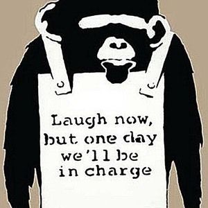 Meet your Posher, Antoine